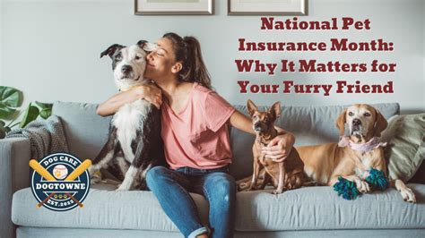 Why Dog Insurance Matters