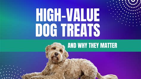 Why Dog Treats Matter