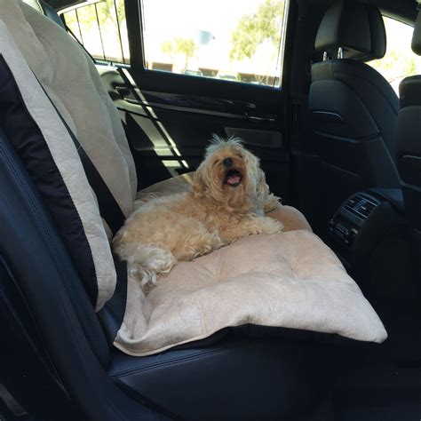 Why Doggy Car Seats Matter