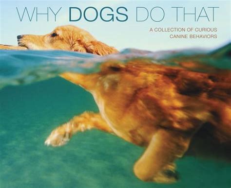 Why Dogs Do That Deluxe Edition A Collection Of Curious Canine Behavoirs Doc