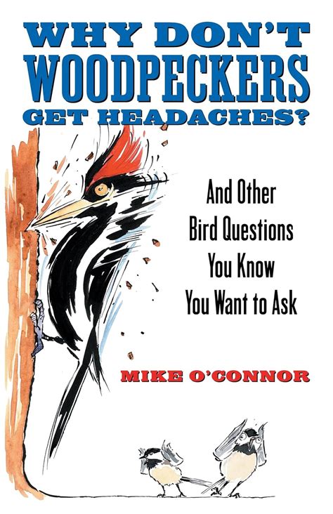 Why Dont Woodpeckers Get Headaches: And Other Answers to Bird Questions You Know You Want to Ask Epub