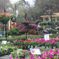 Why Esposito Garden Center Tallahassee Matters