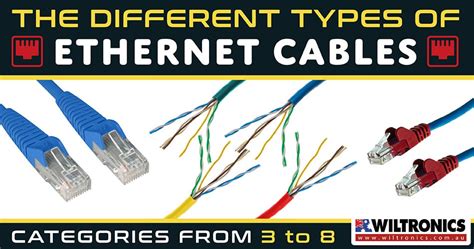 Why Ethernet Cable Matters