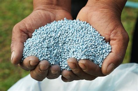 Why Fertilizer Pellets Matter