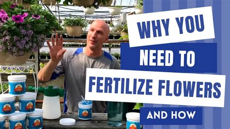 Why Fertilizing Blooming Flowers is Crucial