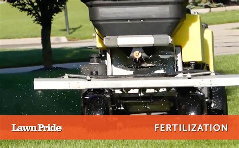 Why Fertilizing Grass Matters