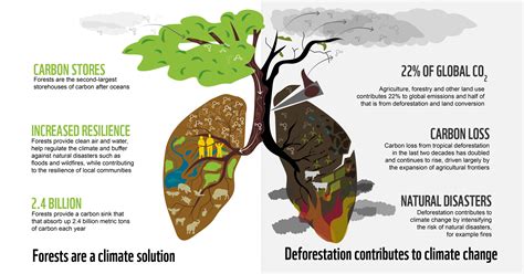 Why Forest Green Matters