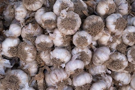 Why Garlic Matters