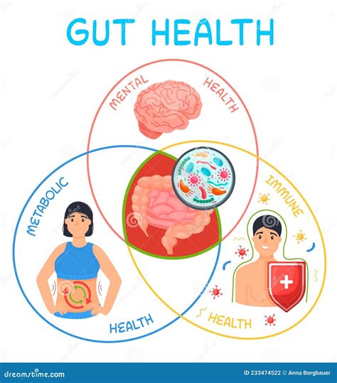 Why Gut Packing Matters