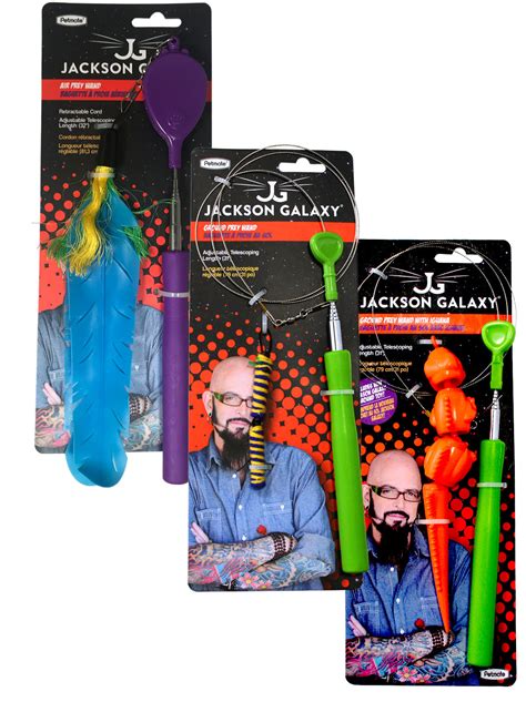 Why Jackson Galaxy Cat Toys Matter