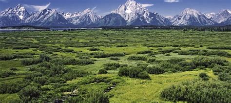 Why Jackson Hole is the Perfect Gateway to Yellowstone National Park