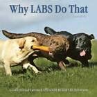 Why Labs Do That A Collection of Curious Labrador Retriever Behavior Doc