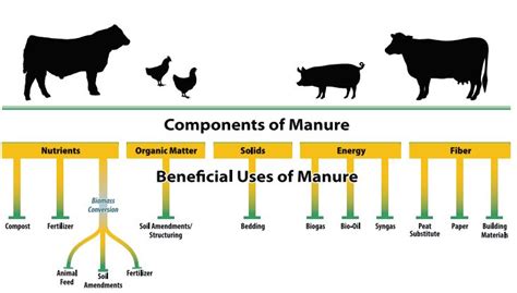 Why Manure Pelleting Matters