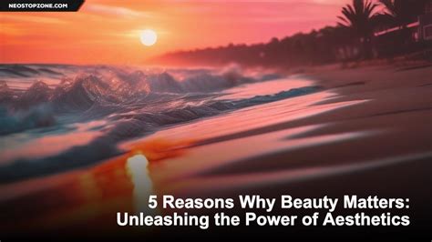 Why Matters: The Power of Aesthetic Appeal