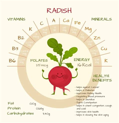 Why Matters: The Roots of Radish Nutrition