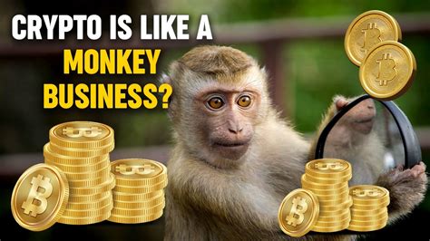 Why Monkey Crypto Matters