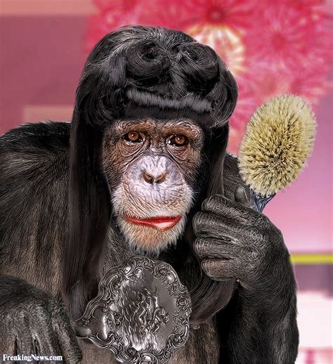 Why Monkey in a Wig Matters