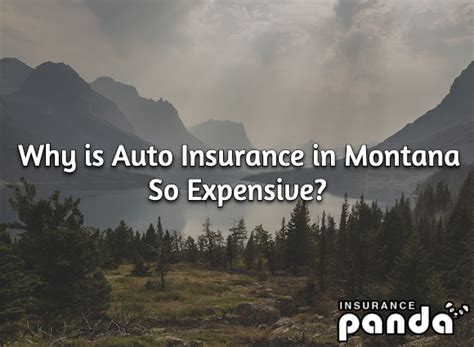 Why Montana Car Insurance Matters