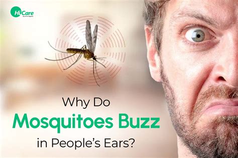 Why Mosquito Agarbattis are the Ultimate Solution to Pesky Buzzing