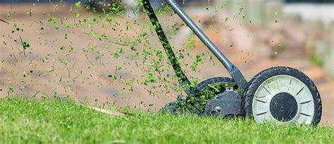 Why Mowing After Fertilizing Matters