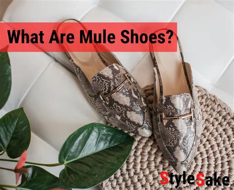 Why Mules Shoes Matter