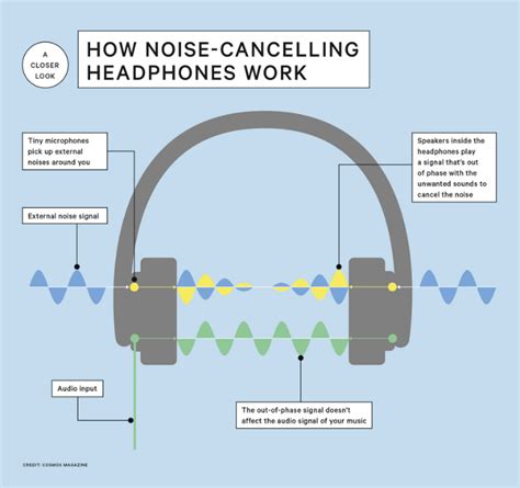 Why Noise Cancellation Matters: A Symphony for Concentration