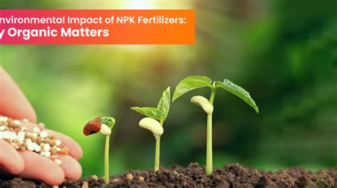 Why Organic Indoor Fertilizer Matters