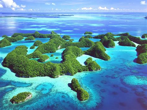 Why Palau: A Journey to an Extraordinary Micronesian Destination