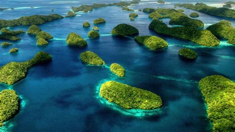 Why Palau Matters: A Celestial Sanctuary