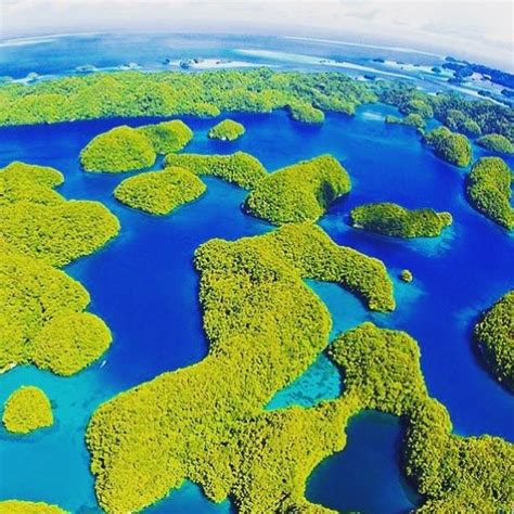 Why Palau is a Captivating Destination