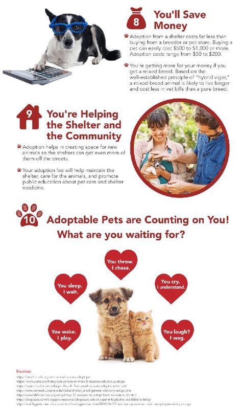 Why Pet Adoption Matters