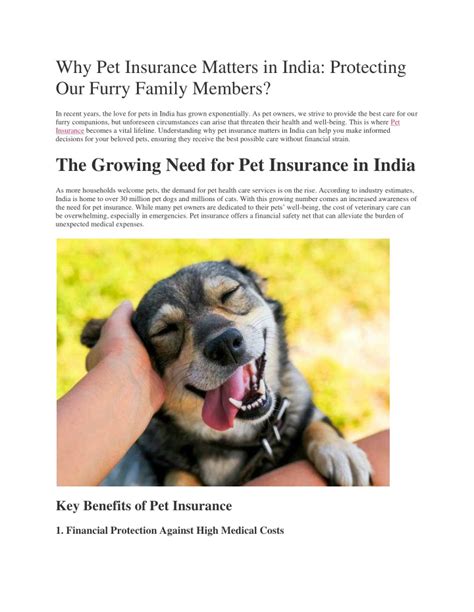 Why Pet Insurance Matters: Understanding Your Furry Friend's Needs