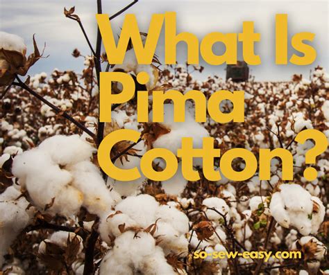 Why Pima Cotton Matters