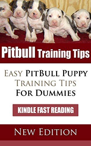 Why Pitbull Training is Essential