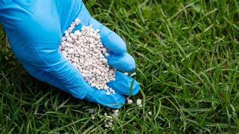 Why Potassium Matters for Grass