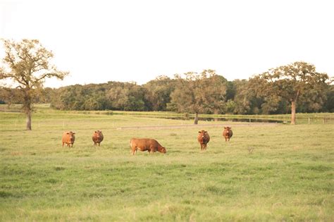 Why Ranch Matters