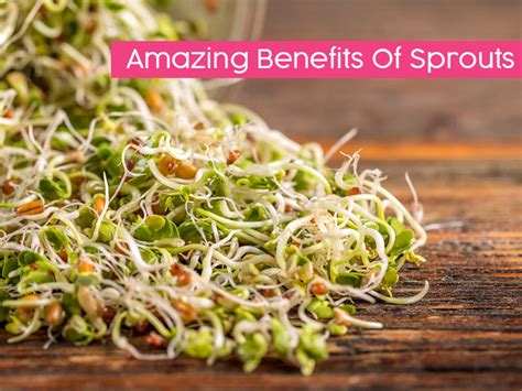 Why Sprouts Matter