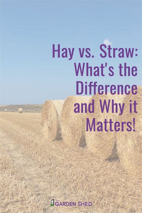 Why Straw Matters: