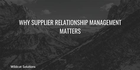 Why Supplier Relationship Management Matters