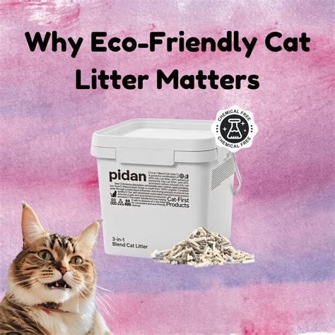 Why Target Cat Litter Box Matters