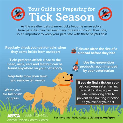 Why Tick Treatment is Important