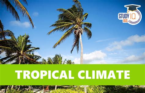 Why Tropical Climates are Detrimental to Economic Development