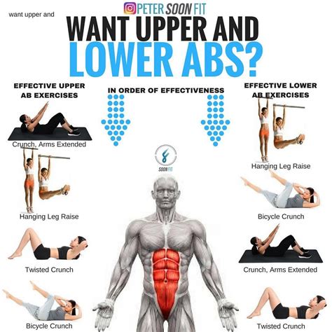 Why Upper Tummy Exercises Matter