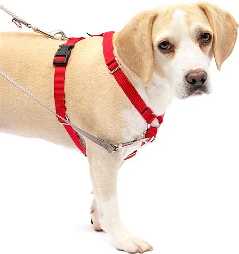 Why Use a Petsafe Dog Harness?