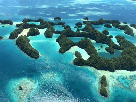 Why Visit Palau?