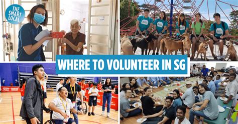 Why Volunteer in Singapore?