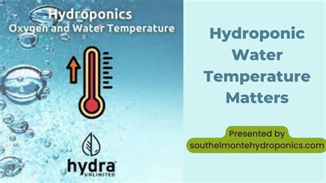 Why Water Temperature Matters