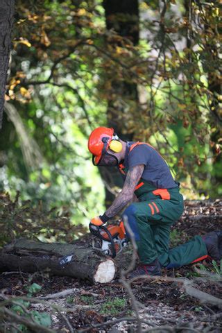 Why Wear a Chainsaw Helmet?