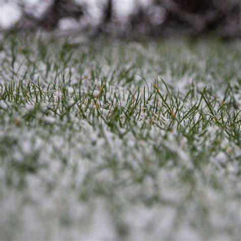 Why Winter Fertilization Matters