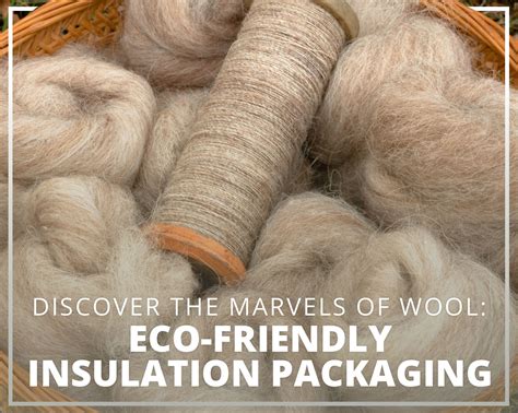 Why Wool? The Wonders of a Natural Insulator